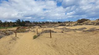 2023-GC-Dunas_Maspalomas-024.jpg